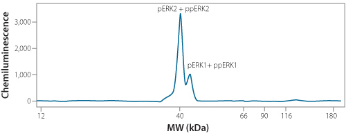 electropherogram