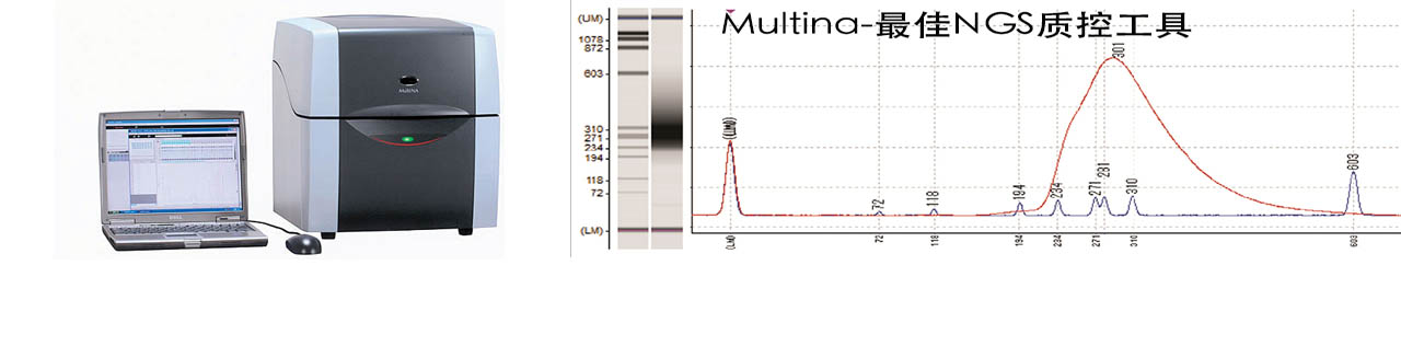 MultiNA΢оƬӾx